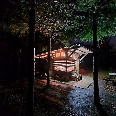 メリペウコ Brisas Del Llaimaヴィラ エクステリア 写真